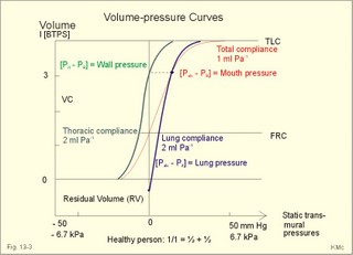 lung volumes