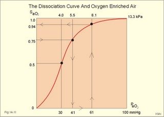The oxyhemoglobin dissociation curve