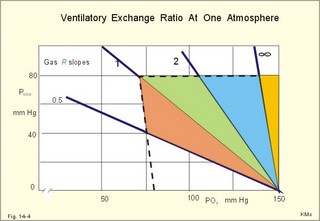 The ventilatory exchange ratio