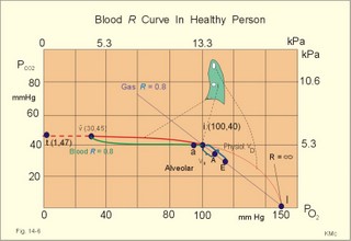 Gas-R and the related blood R curve