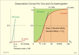 Oxygen and CO2 dissociation curve