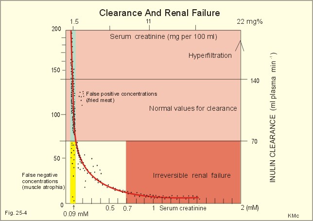 Kidney Creatinine Chart