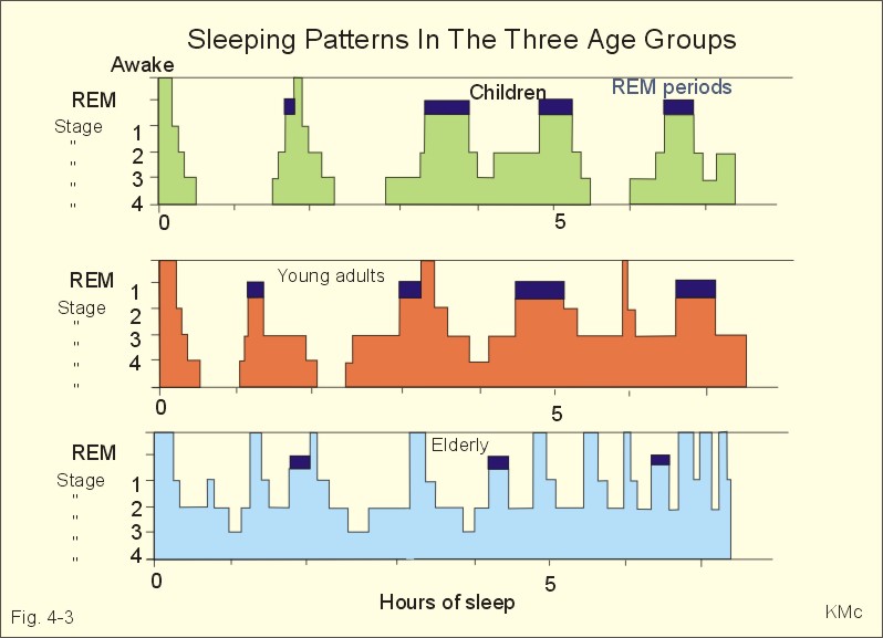 Sleep Patterns By Age How To Use Melatonin Jet Lag Children s Sleep 